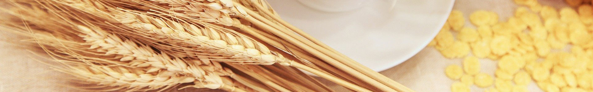 產(chǎn)品中心